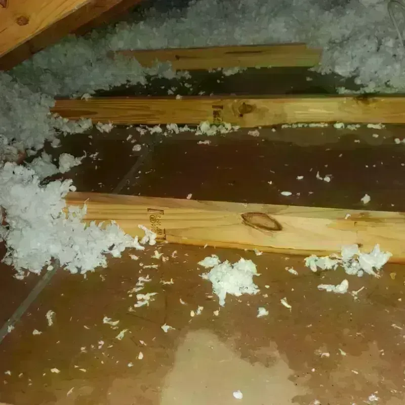 Attic Water Damage in Ashley, OH