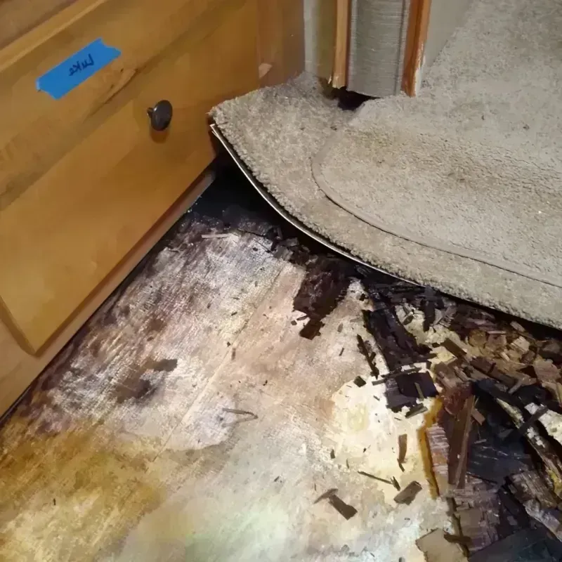 Wood Floor Water Damage in Ashley, OH